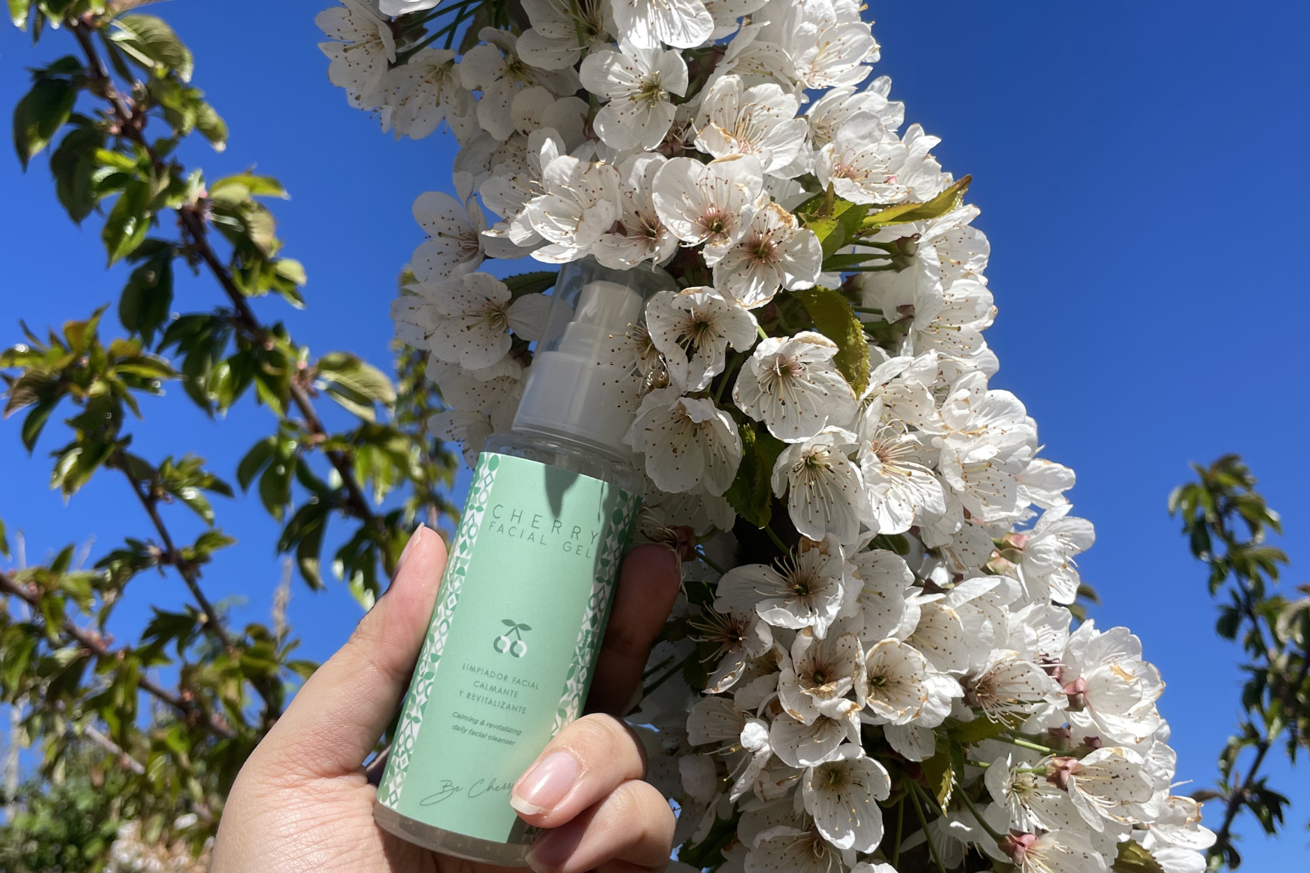 -15 % DE DESCUENTO EN TODA LA WEB