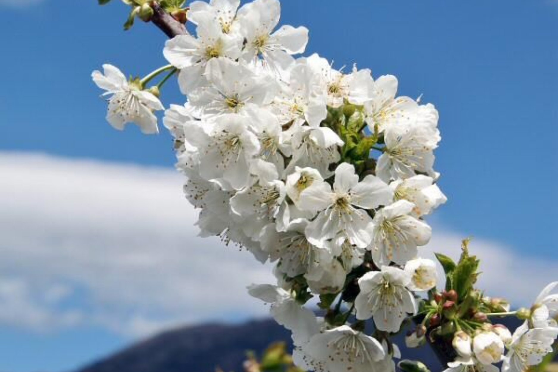 -15 % DE DESCUENTO EN TODA LA WEB