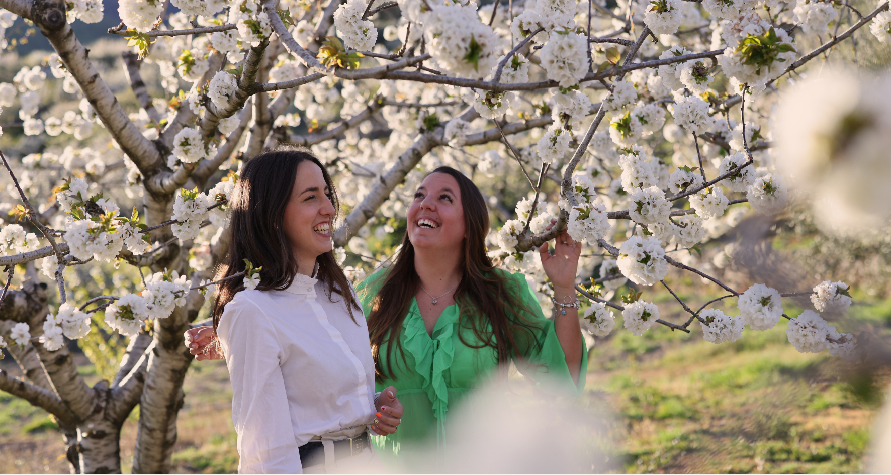 -15 % DE DESCUENTO EN TODA LA WEB